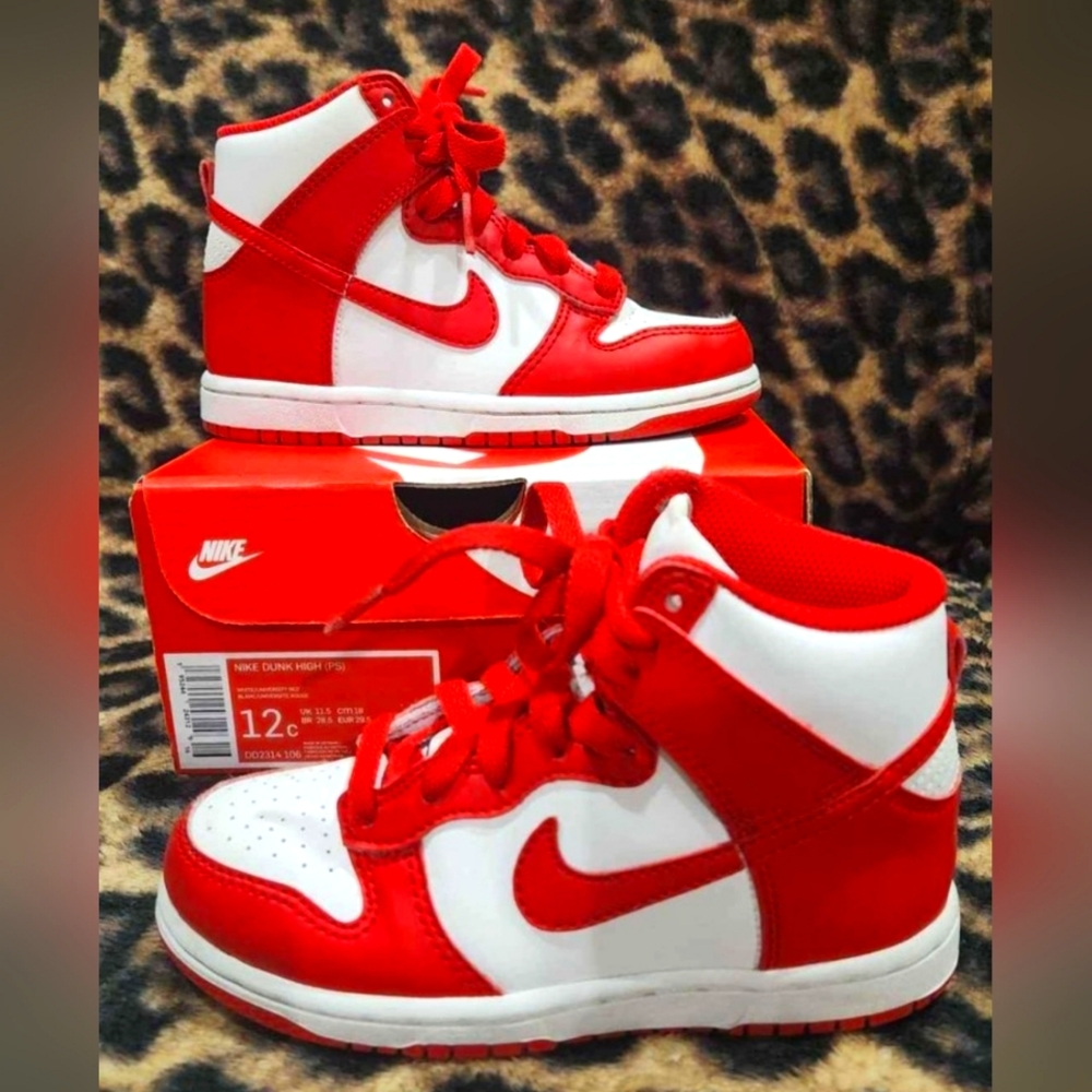 Nike Dunk Hi (PS)